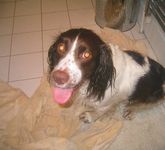 click for a larger view